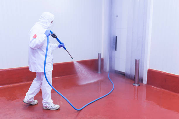 Reliable Pleasanton, TX Pressure Washing Services Solutions